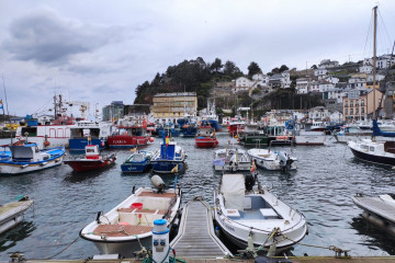 Archivo - Puerto de Luarca, pesca