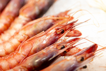 Archivo - Pescado y marisco