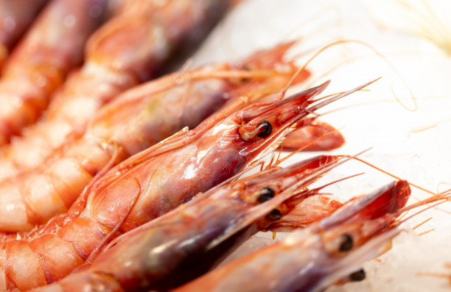 Archivo - Pescado y marisco