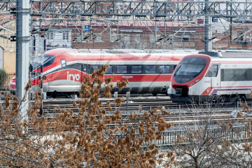 Trenes entrando en la estación de Madrid-Puerta de Atocha-Almudena Grandes, a 22 de enero de 2026, en Madrid (España).