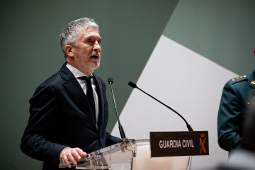 El ministro del Interior, Fernando Grande-Marlaska, comparece en rueda de prensa