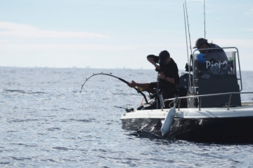 Pescadores recreativos en pleno combate con un atún rojo durante la jornada de marcaje científico del Scientific Angler Tagging Tour en l’Ametlla de Mar (Tarragona).