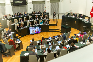 Archivo - Pleno ordinario del Ayuntamiento de Madrid, en el Palacio de Cibeles