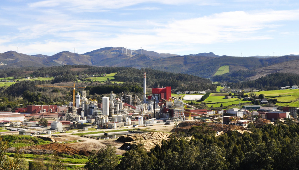 Archivo - Biofábrica de Ence Navia.