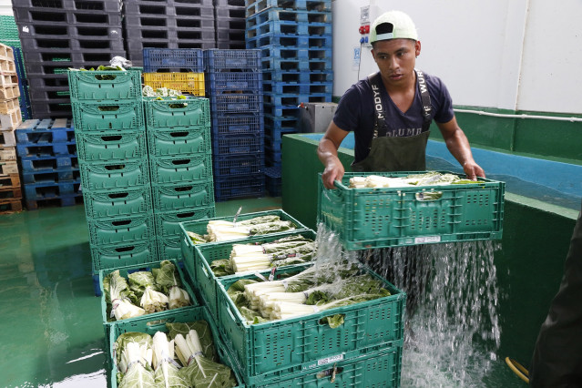 Trabajador migrante en el campo