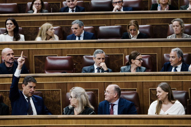 Archivo - La bancada del PP vota una ley durante una sesión plenaria, en el Congreso de los Diputados, a 9 de diciembre de 2025, en Madrid (España).