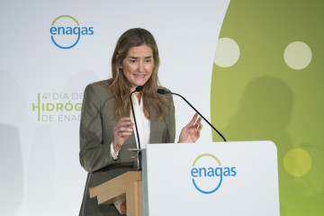 La vicepresidenta del Gobierno y ministra para la Transición Ecológica y el Reto Demográfico, Sara Aagesen, durante la inauguración del 4º Día del Hidrógeno de Enagás, en el Auditorio de la Fu