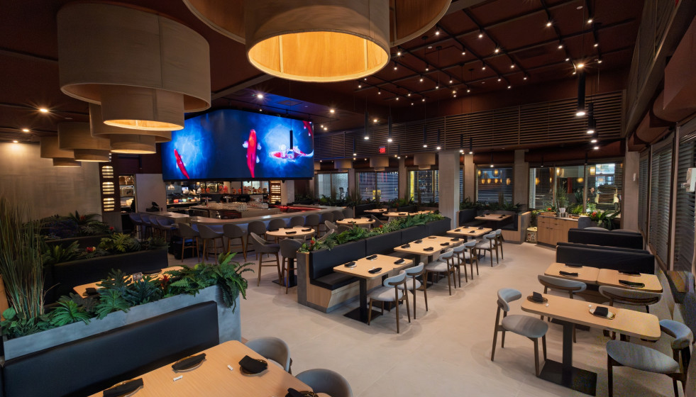 UDON Asian Food factura más de 57 millones de euros en 2025 (+9%) y marca otro récord