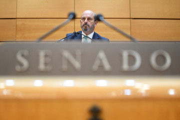 Archivo - El presidente del Senado, Pedro Rollán, durante una sesión plenaria, en el Senado, a 17 de julio de 2024, en Madrid (España).