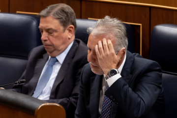 Archivo - (I-D) El ministro de Agricultura, Pesca y Alimentación, Luis Planas, el ministro de Política Territorial y Memoria Democrática, Ángel Víctor Torres, durante un pleno en el Congreso de l