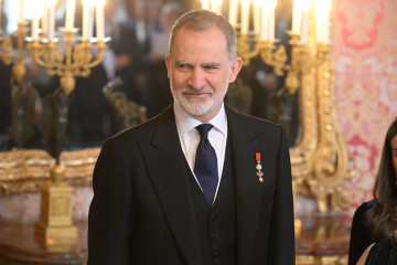 El Rey Felipe VI