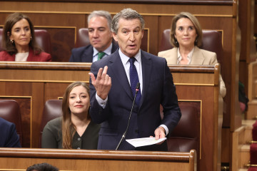 Archivo - El presidente del Partido Popular, Alberto Núñez Feijóo, interviene durante una sesión de control al Gobierno, en el Congreso de los Diputados, a 26 de noviembre de 2025, en Madrid (Espa