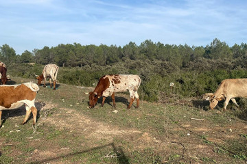 Archivo - El plazo para solicitar las ayudas de la Política Agraria Común para 2026 comienza el próximo 1 de febrero.