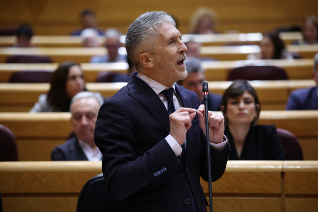 El ministro del Interior, Fernando Grande-Marlaska, interviene durante una sesión plenaria en el Senado