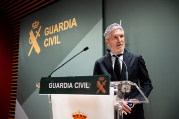 El ministro del Interior, Fernando Grande-Marlaska, comparece en rueda de prensa, en la sede de la Dirección General de la Guardia Civil, a 22 de enero de 2026, en Madrid (España).