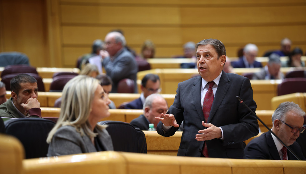 El ministro de Agricultura, Pesca y Alimentación, Luis Planas, interviene durante una sesión plenaria en el Senado