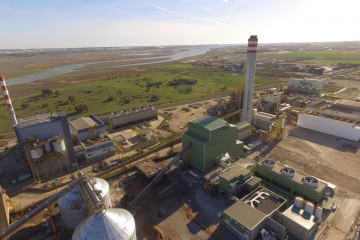 Planta de Magnon en Huelva