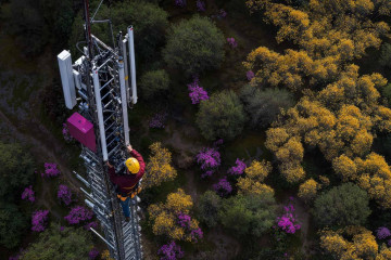 Archivo - Nae, empresa de Minsait, publica la edición T2-2025 del barómetro de las telecomunicaciones en Colombia