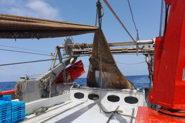 Archivo - El 90% de la flota pesquera andaluza se encuentra inactiva por el temporal y el paro biológico.