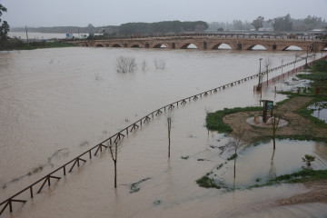 El río Guadalete desborda sus márgenes a su paso por la zona de Las Pachecas en Jerez de la Frontera (Cádiz) provocando importantes inundaciones.