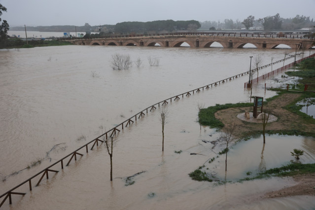 El río Guadalete desborda sus márgenes a su paso por la zona de Las Pachecas en Jerez de la Frontera (Cádiz) provocando importantes inundaciones.
