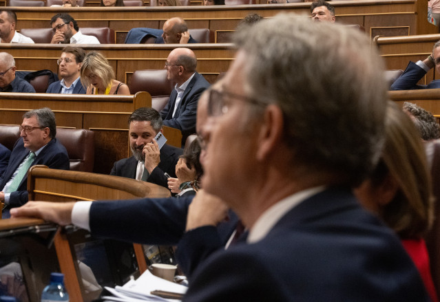 Archivo - Imagen de los presidente del PP, Alberto Núñez Feijóo, y de Vox, Santiago Abascal, en el Pleno del Congreso