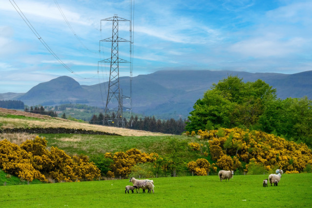 Archivo - Iberdrola cerró 2025 con una cifra récord de electricidad distribuida, con 255.976 GW