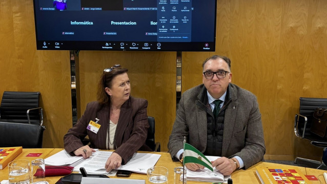 El consejero de Turismo y Andalucía Exterior de la Junta de Andalucía, Arturo Bernal.