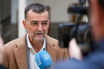 El coordinador federal de IU y candidato de Por Andalucía a la Presidencia de la Junta, Antonio Maíllo atiende a los medios antes del comienzo del pleno de hoy en el Parlamento de Andalucía, A 29 d
