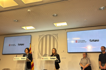 Rueda de prensa tras la segunda reunión del Comité de Emergencias