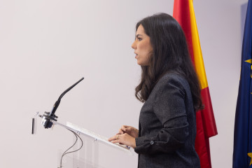 La portavoz de VOX en el Congreso, Pepa Millán, durante una rueda de prensa en el Congreso de los Diputados.