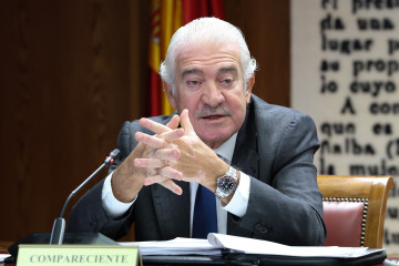El consejero delegado de Endesa, José Damián Bogas, comparece ante la Comisión de Investigación sobre el apagón, en el Senado, a 12 de febrero de 2026, en Madrid (España). La Comisión de Invest