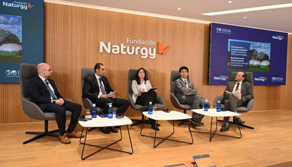 Expertos destacan el papel estratégico del biogás y el biometano como complemento de la electrificación