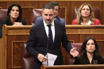El presidente de Vox, Santiago Abascal, en una sesión de control al Gobierno , en el Congreso de los Diputados, a 11 de febrero de 2026, en Madrid (España).