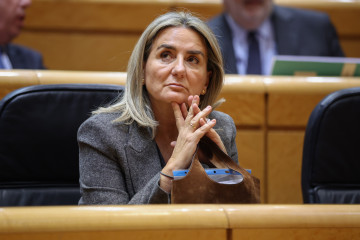 La ministra de Educación, Formación Profesional y Deportes, Milagros Tolón, durante una sesión plenaria en el Senado, a 3 de febrero de 2026, en Madrid (España). Esta tarde el Senado aborda, entr