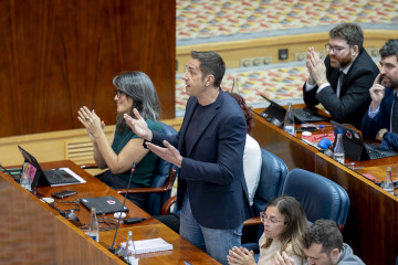 El diputado de Más Madrid, Emilio Delgado, durante un pleno en la Asamblea de Madrid