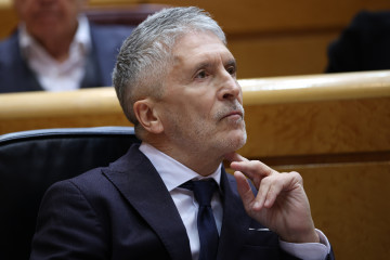 El ministro del Interior, Fernando Grande-Marlaska, durante una sesión plenaria en el Senado