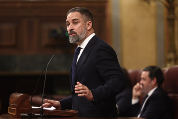 El presidente de VOX, Santiago Abascal, en una sesión de control al Gobierno , en el Congreso de los Diputados, a 11 de febrero de 2026, en Madrid (España).