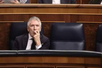El ministro del Interior, Fernando Grande-Marlaska, durante una sesión de control al Gobierno, en el Congreso de los Diputados
