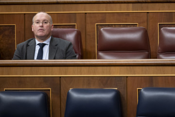 El secretario general del PP, Miguel Tellado, durante una sesión plenaria, en el Congreso