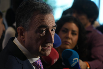 Archivo - El presidente del EBB del PNV, Aitor Esteban