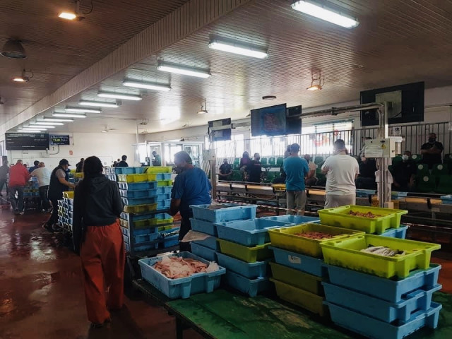 Archivo - Imagen de archivo de la Lonja de Motril (Granada)