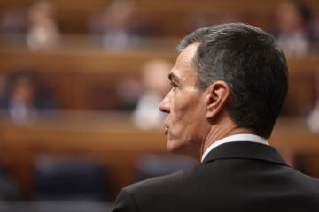 El presidente del Gobierno, Pedro Sánchez, interviene durante una sesión de control