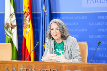 La portavoz adjunta del Grupo Mixto-AdelanteAndalucía, Begoña Iza, durante la ronda de ruedas de prensa de portavoces de los grupos parlamentarios en el Parlamento de Andalucía, a 25 de febrero de 