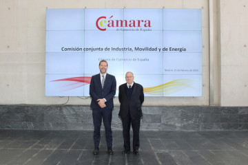 El secretario de Estado de Industria, Jordi García Brustenga