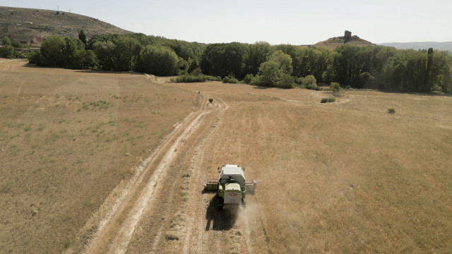 Archivo - El Tribunal de Cuentas Europeo asegura que la innovación agrícola no se fomenta lo suficiente en la UE.