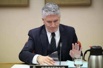 El ministro del Interior, Fernando Grande Marlaska, comparece ante la Comisión de Interior, en el Congreso de los Diputados