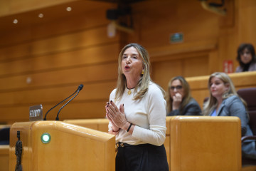 Archivo - La portavoz del PP en el Senado, Alicia García, interviene durante una sesión de control al Gobierno, en el Senado, a 16 de diciembre de 2025, en Madrid (España).