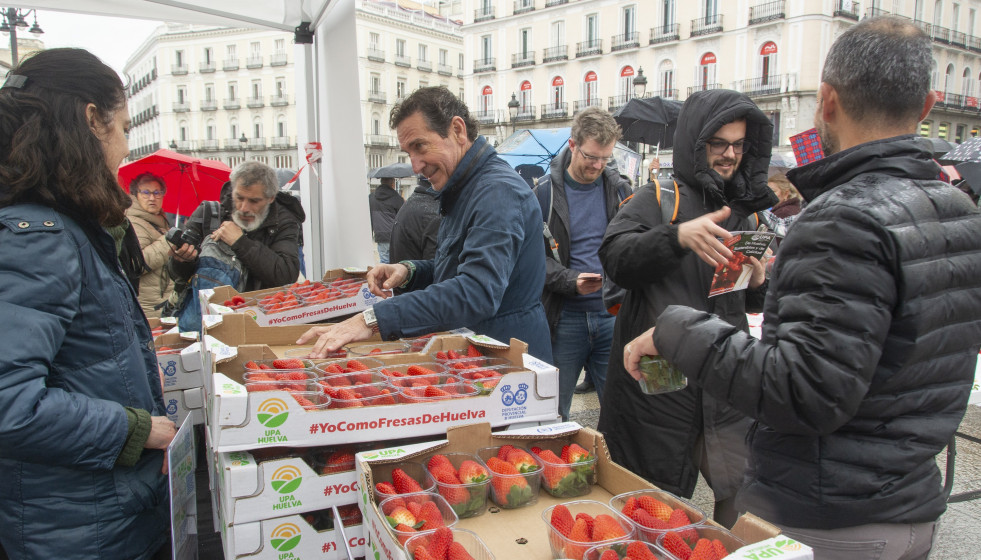 UPA repartirá más de 2.000 tarrinas de fresa de Huelva en la Puerta del Sol