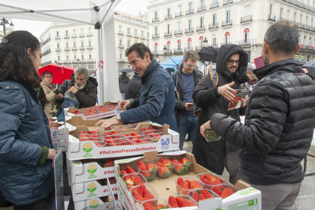 UPA repartirá más de 2.000 tarrinas de fresa de Huelva en la Puerta del Sol